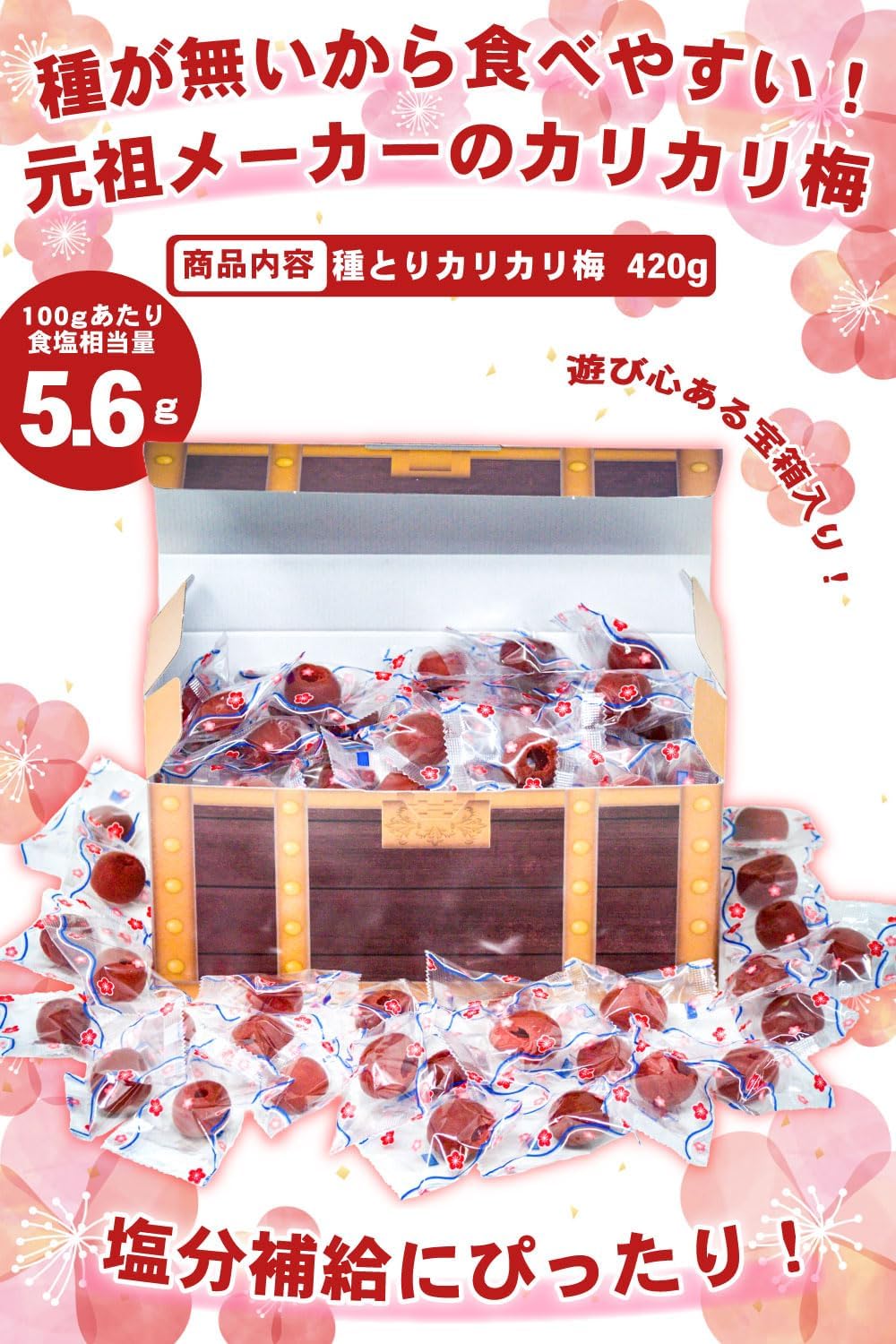 種とり カリカリ梅 420g 赤城フーズ 宝箱詰め合わせ ギフト プレゼント 塩分補給