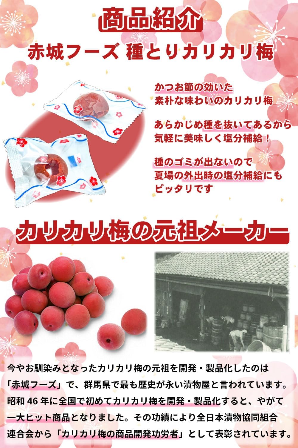 種とり カリカリ梅 420g 赤城フーズ 宝箱詰め合わせ ギフト プレゼント 塩分補給